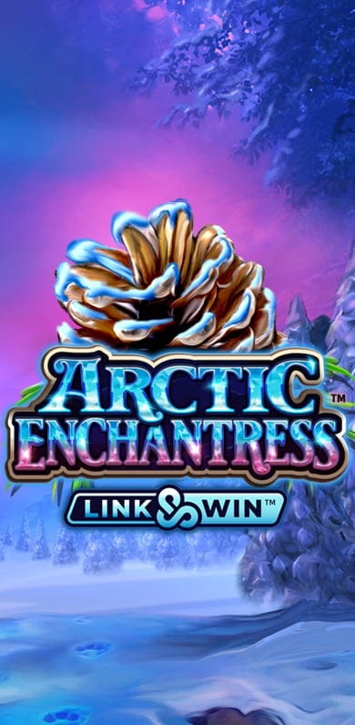 Arctic Enchantress in risingstarsde