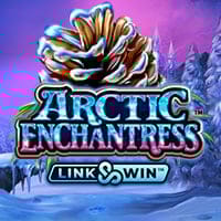 Arctic Enchantress in All Slots